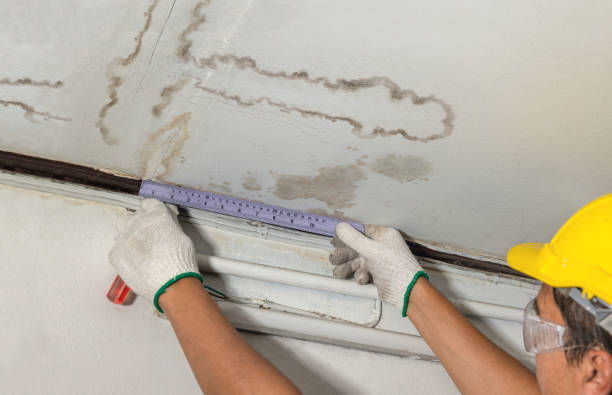 Affordable Water Damage Repair solutions in Mustang, OK